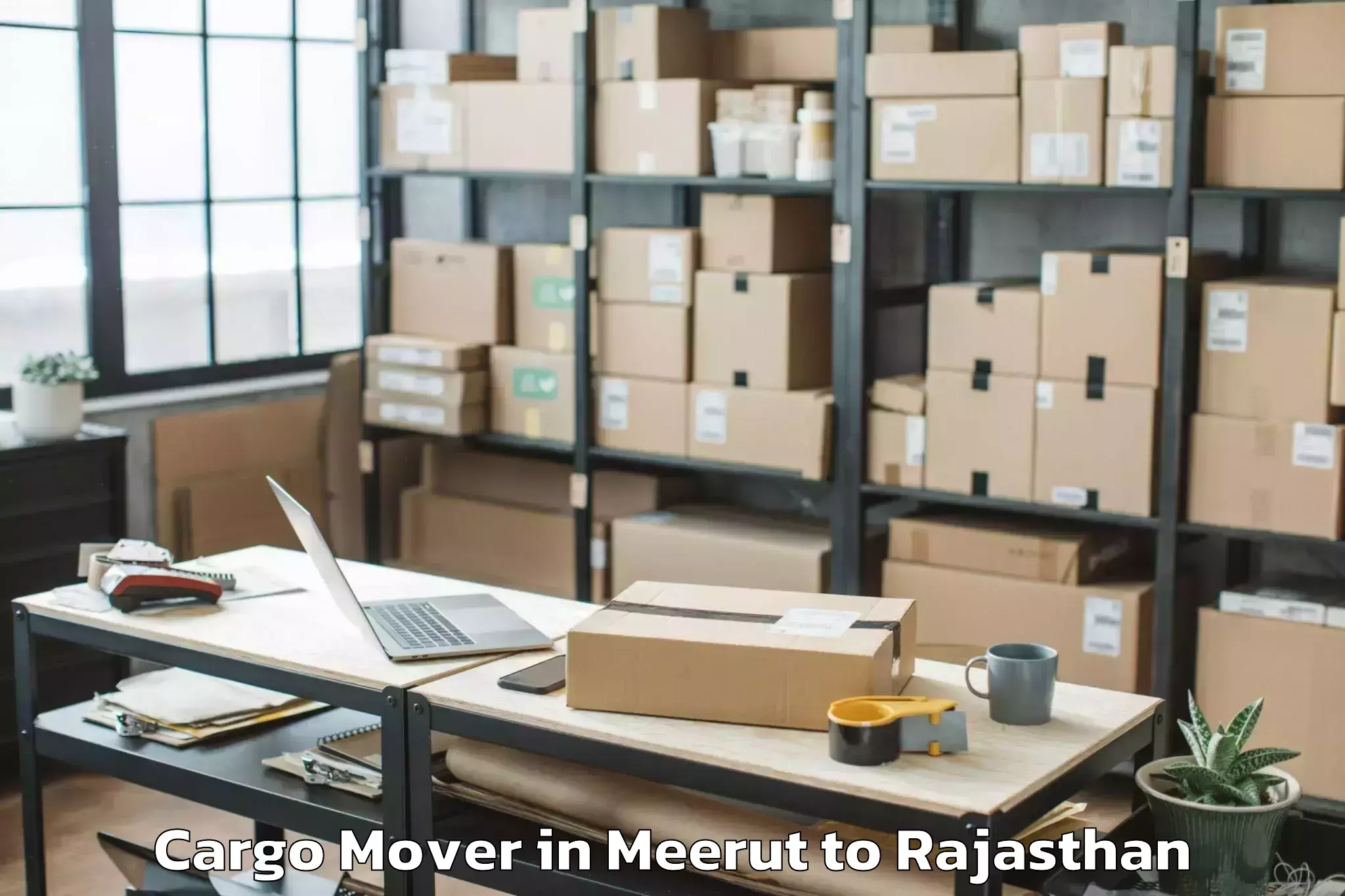 Book Meerut to Kishangarh Bas Cargo Mover Online